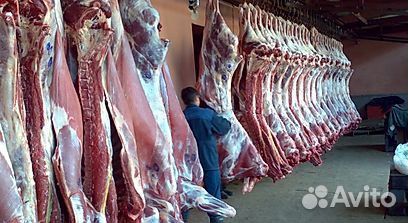 Инвестиции с гарантией прибыли Инвестиции с гарантией прибыли
