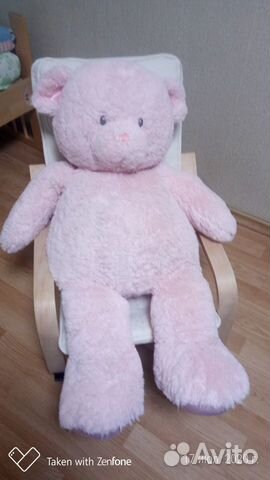 Продам медведя teddy из хлопка Продам медведя teddy из хлопка
