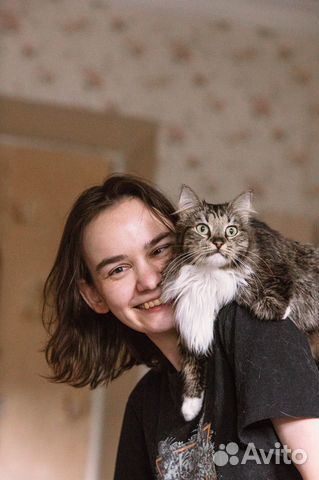 Котоняня, кэтситтер, зооняня