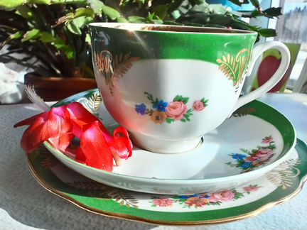 Зеленый чайный сервиз Дулево винтаж 21 предмет