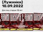 Билет на концерт ленинград