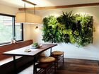 Озеленение стен фитокартины и цветочные панно