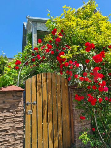 Комната 30 м², 1/3 эт.