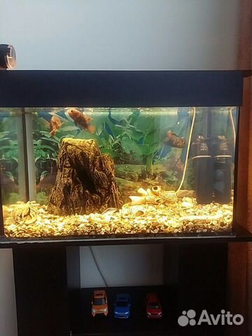 Аквариум с тумбой с наполением