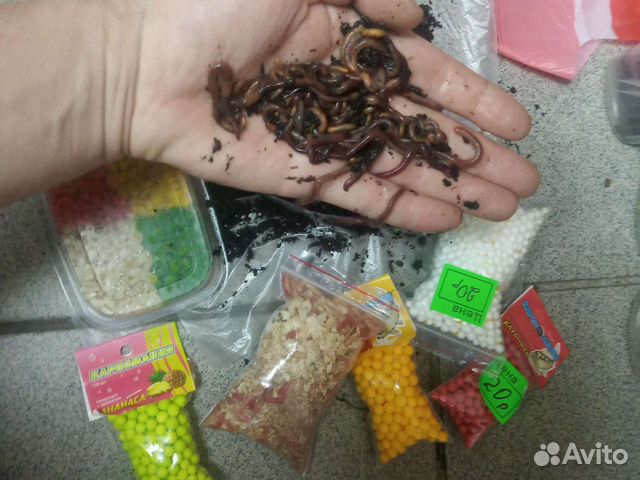 Наживка для рыбалки червь
