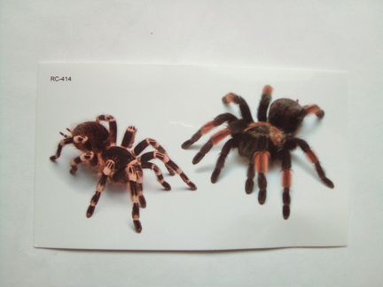 Тату 3d (временная,переводная)