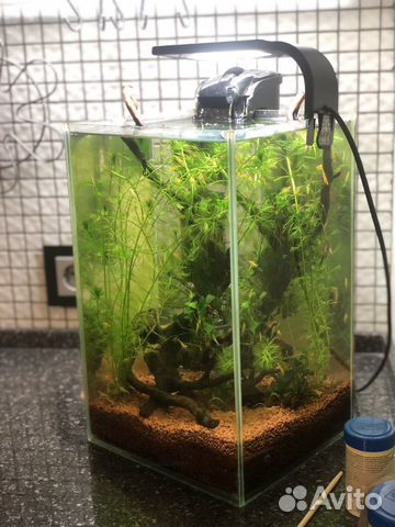 Аквариум 15 литров размером 20-22-35 см