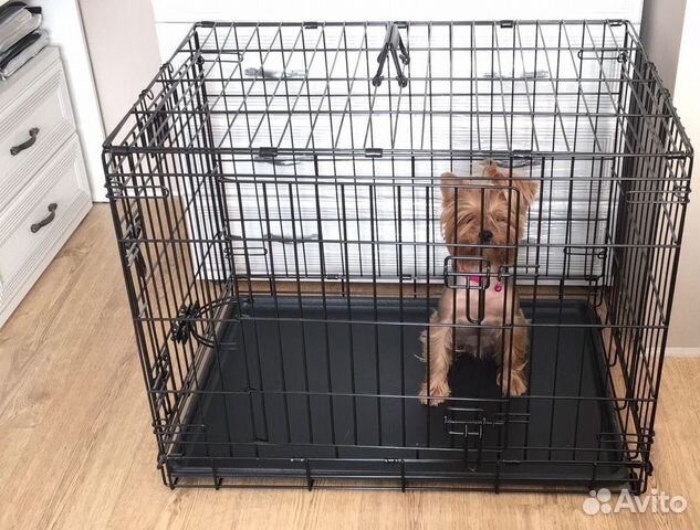 Аренда клетки для собак