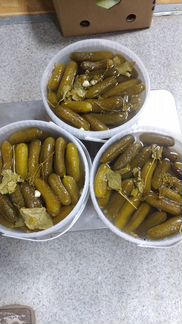 Огурцы соленые 1 ведро-7 кг