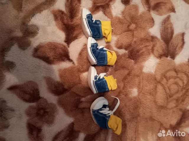 Кеды и одежда для собаки