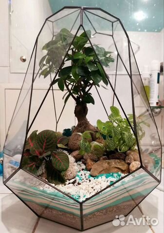 Большой Флорариум бонсай 