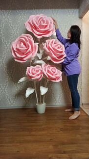 Гигантские большие цветы ростовые огромные розы