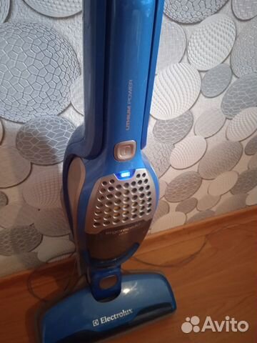 Пылесос Electrolux Ergorapido plus