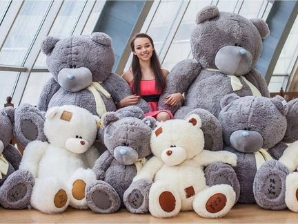 Плюшевый медведь