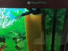 AquaPlus Аквариум 72 (600х300х400) объявление продам