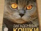 Документальный фильм о кошках. Производство ввс объявление продам