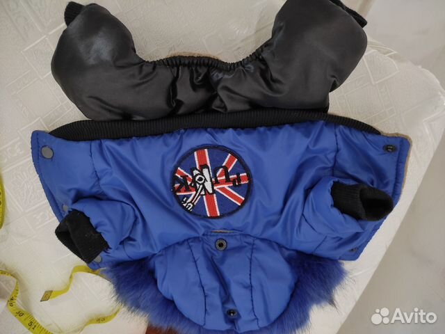 Одежда для чихуахуа