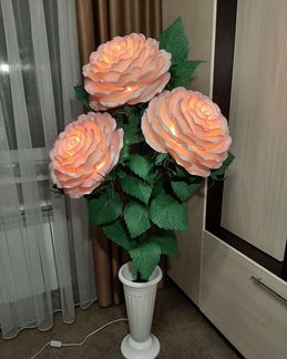 Роза светильник. Ростовые цветы