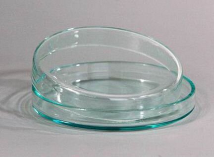 Чашка Петри 100х20 мм