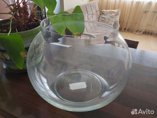 Круглый аквариум