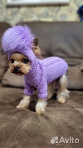 Товары для животных