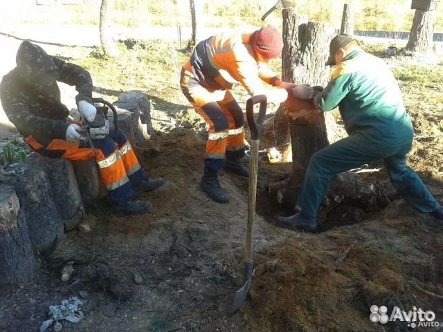 Земельные Работы(земляные), подъем,отсыпка участка в Кировске | Услуги ...