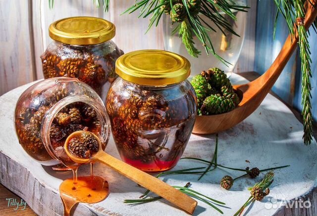 Варенье из сосновых шишек купить в Кузнецке | Товары для дома и дачи ...