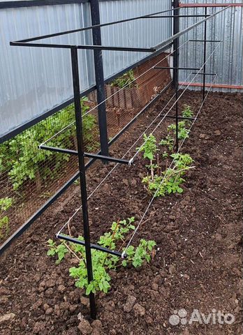 Шпалера для малины,ежевики,винограда