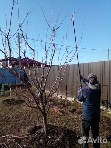 Обрезка деревьев, винограда, опрыскивание