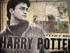 Личные вещи Гарри Поттера атрибутика