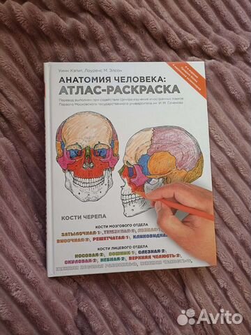 Анатомия человека атлас-раскраска купить в Санкт-Петербурге | Хобби и ...