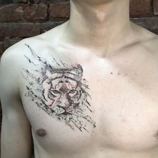 Временные тату, Мехенди хной, обучение