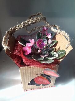 Цветущие подарки в дизайнерской упаковке