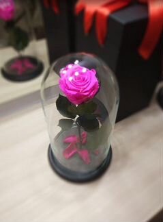 Роза в Колбе