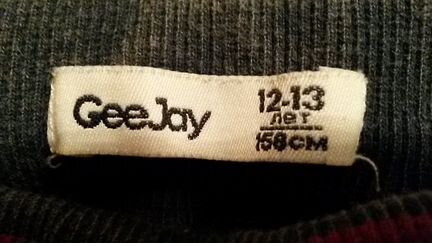 Джинсы «GeeJay»