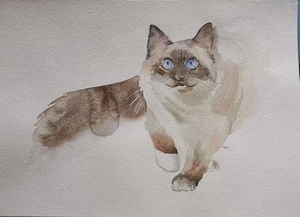 Акварель. Картина. Кот. Живопись, скетч