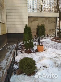 2-к квартира, 50.9 м², 16/17 эт.