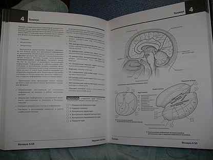 Неврология атлас раскраска с рисунками неттера