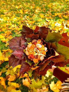 Букеты из сухофруктов на заказ