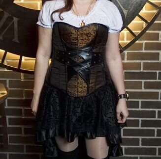 Steampunk корсет + юбка наряд симпанк