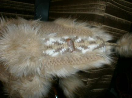 Шапка зимняя starling