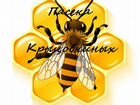 Пчеломатки Карника Ф1 объявление продам