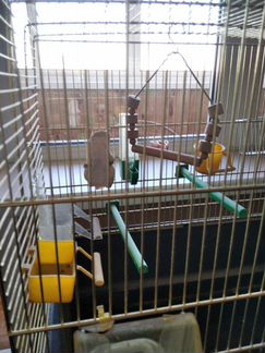 Клетка для птиц ferplast