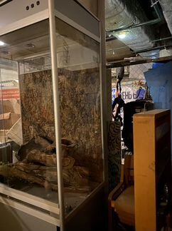 Аквариум с тумбой 600 литров