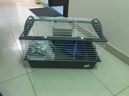 Клетка для морской свинки