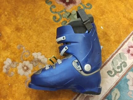Горнолыжные ботинки