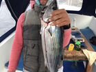 Рыбалка в открытом море Балаклава объявление продам