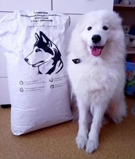 Корм променад для собак и кошек супер премиум