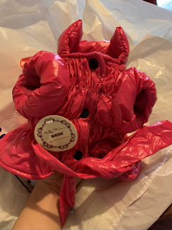 Зимние вещи для собаки