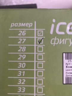 Коньки
